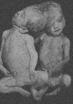 Daylight Nightmare : Audio Terror Experiment